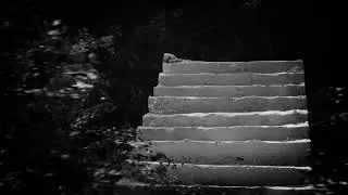 The Stairs in the Woods