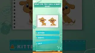 Brainy Challenge: What do you call a baby dog? 