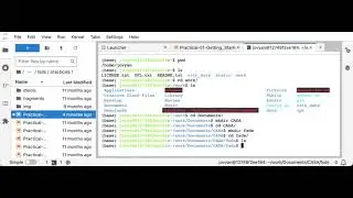 Using the Terminal in JupyterLab