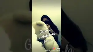 Yigitlani tallama yigitla sani tallidi