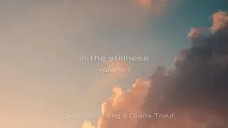 in the stillness (Volume I) - Hillside Recording & Diana Trout