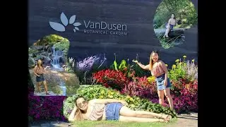 A maze in the garden