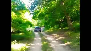 Видео, которое дарит улыбку:)