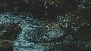 ЮЛИЯ САВИЧЕВА, TRITIA - КАПЛЯМИ (Текст песни)