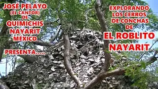 CERROS DE CONCHAS DE OSTIONES SOLO EN EL ROBLITO, NAYARIT .MÉXICO AÑOS DE EXTRACCION DE ÉSTE MANJAR
