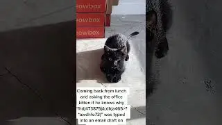 Unbelievable Wind Gust Pranks! 😱