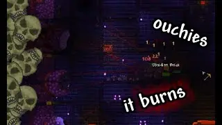 Killing Wall of Flesh in the DUNGEON? [4]