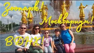 Московский зоопарк, ВДНХ и Москвариум летом 2023 года! Великолепный отдых для детей!