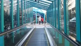 HOMBRE ENTRETENIDO CAE EN ESCALERAS MECÁNICAS