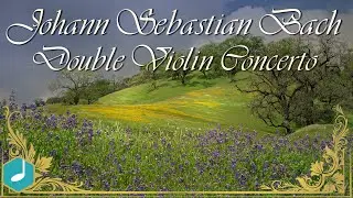 J.S. Bach - Double Violin Concerto in D minor - 2nd Movement, Largo Ma Non Tanto (BWV 1043)