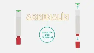 Alerjik Şok Eğitim Programı