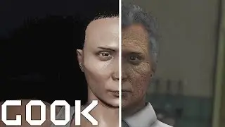GOOK (GTA5 CLIP)