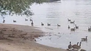 Отдых на любимом пляже