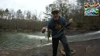 FISHING SAGA #9