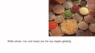 #nature  Nature food grains - The wonders of food grains.....