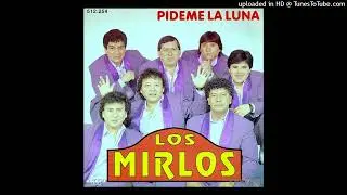 los mirlos del peru  lo mejor