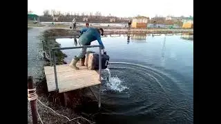 IMG 4555