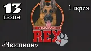 Комиссар Рекс, 13 сезон, 1 серия «Чемпион»