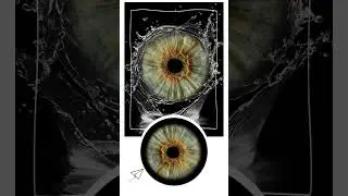 #eye #iris #photography