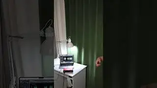 Два вида укулелистов