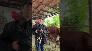 xoliqjon vinesdan yangi trend