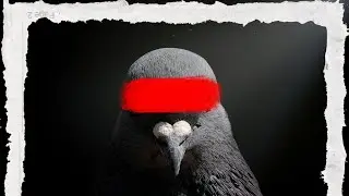 The Worlds Biggest Conspiracy | Short Documentary