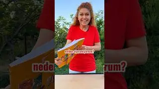Does friction force depend on surface area? 