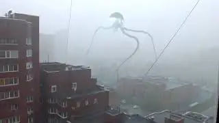 Сирена в Новосибирске