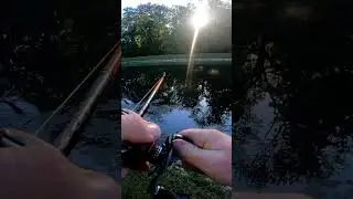 topwater blowup on the lunkerhunt spider