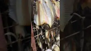 Производство мурманского ерша. Вяленая рыба оптом, прямые поставки от производителя.