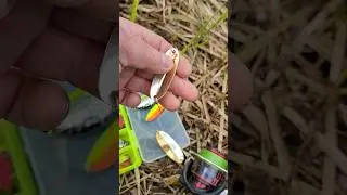 ТОП приманки👍👍👍Блесна всех времён и народов.Рыбалка #shorts #рыбалка #fishing