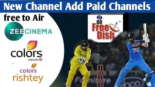DD free dish new update today 2024 | New channel add | diwali special Update 🤩 | dd free dish