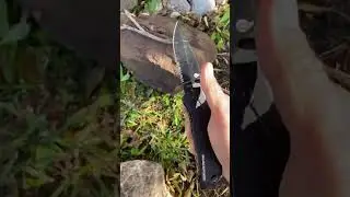 Look at this! 