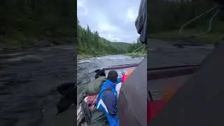 Жизнь - ты прекрасна!