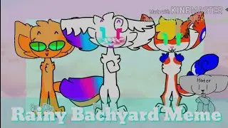 Rainy Bachyard meme GIFT