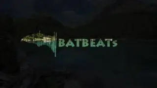 Chris Brown ft Tyga & R. Kelly - Trippin' - BatBeats