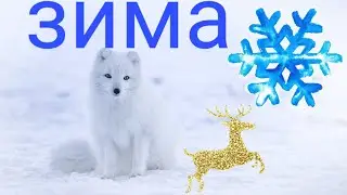 Зима