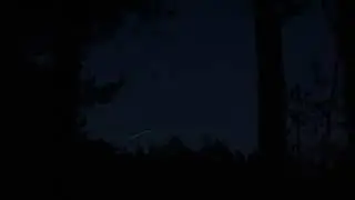 Опознанный летающий объект: космический поезд Маска пролетел над нижегородским лесом