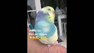 Canımın içi nasıl da güzel cevap veriyor arada bir ben de olayım diyor😂😂😂😂