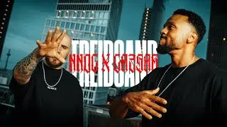 NNOC | CA3SAR - Treibsand