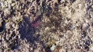 Побережье Индийского океана ОАЭ Фуджи