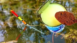Added THIS and got all the fish on the spot! Float fishing 2024