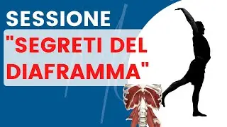 Sessione 