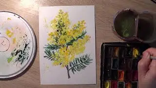 Как нарисовать цветы мимозы акварелью. How to draw a mimosa in watercolor