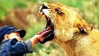 5 NIÑOS CRIADOS POR ANIMALES