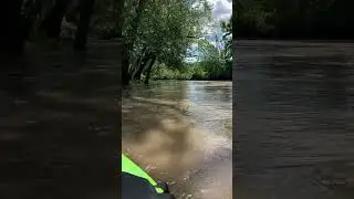 Beautiful day on the sangamon river after flooding #cicadas #flooding