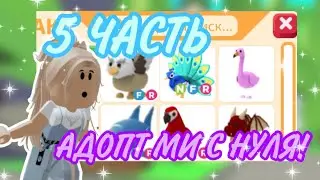 АДОПТ МИ С НУЛЯ!ТАКОЙ РАСКРУТКИ НИКТО НЕ ОЖИДАЛ!