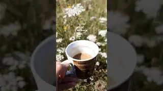 This is my place 😍 #scenery #beautifuldestinations #france  #viral_video