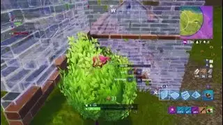 Fortnite Bush Bug/glitch