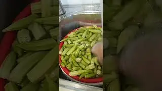 #washing #okra #ladyfinger #vegetable    #YouTube #shorts.